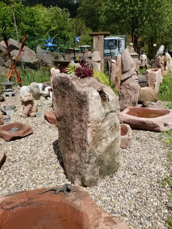 0535 – Bild 2