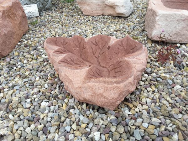 0498 – Bild 2