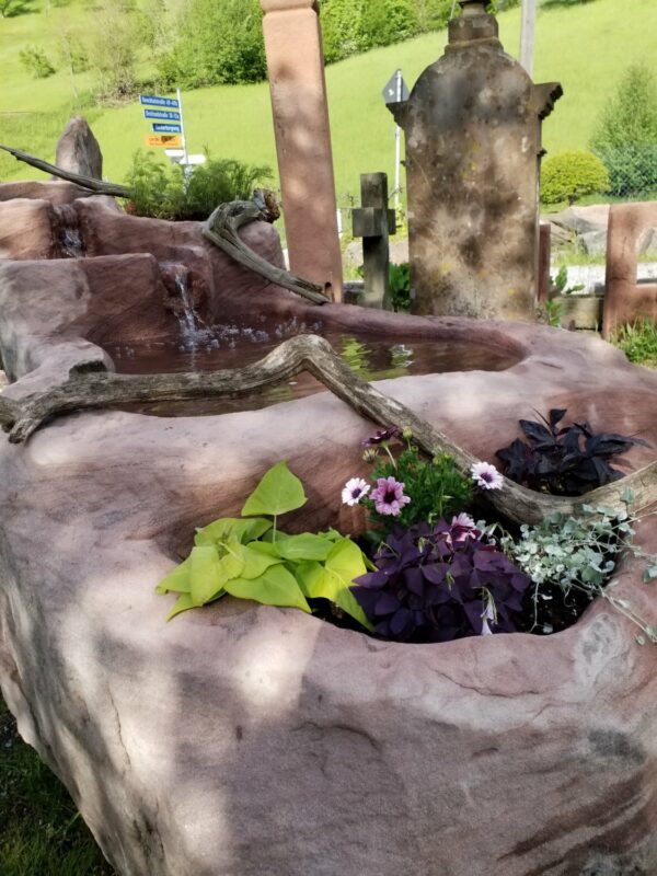 0415 – Bild 3