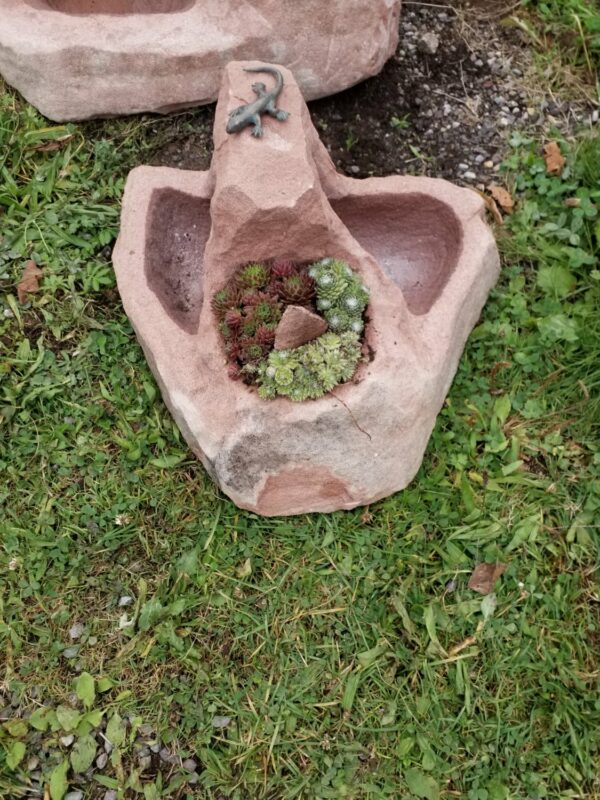 0429 – Bild 2