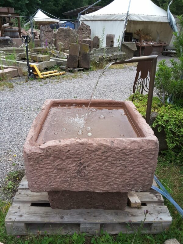 0447 – Bild 3