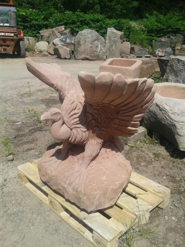 0567 – Bild 3