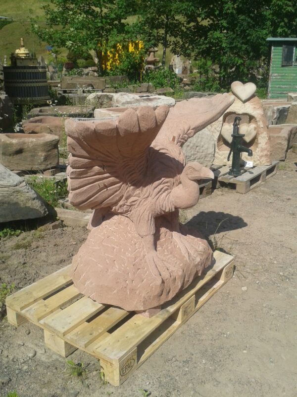 0567 – Bild 4