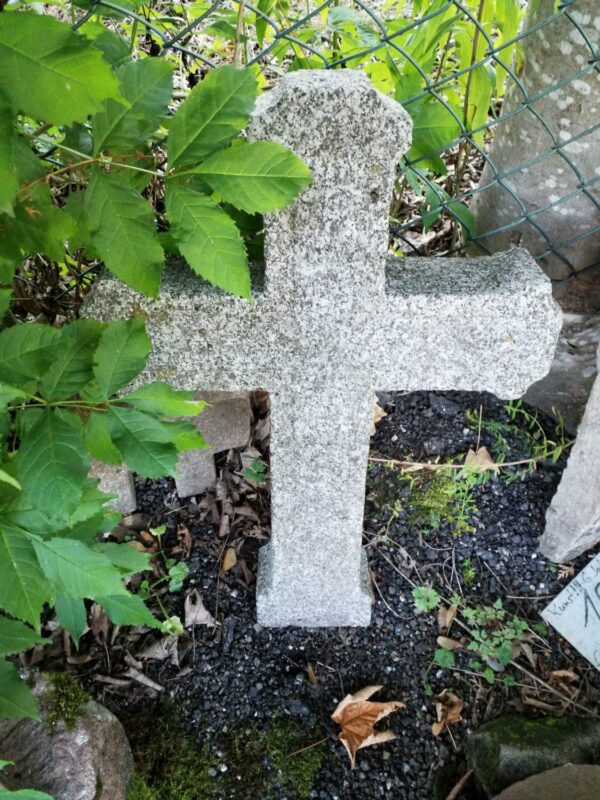 0555 – Bild 2