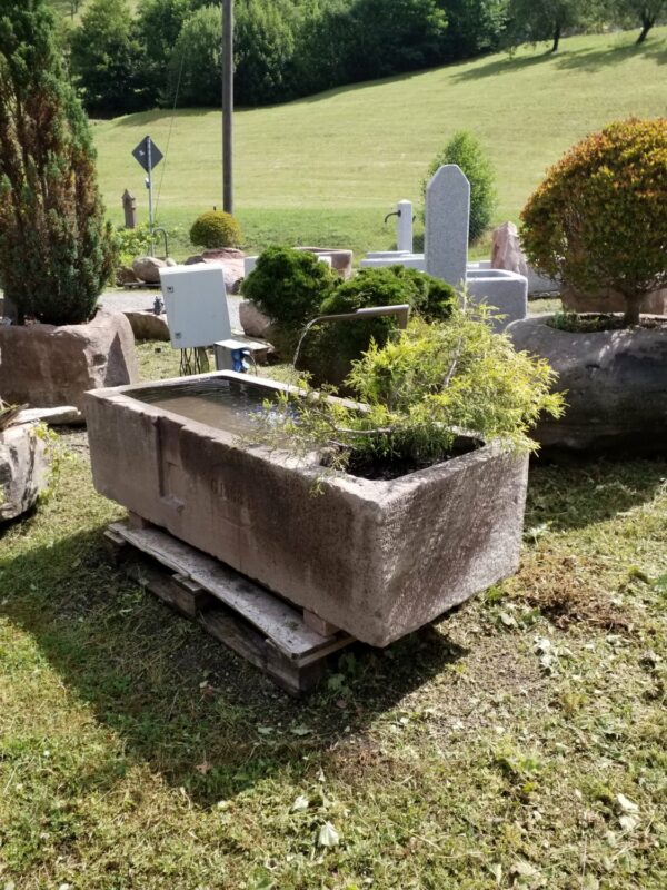 0241 – Bild 2