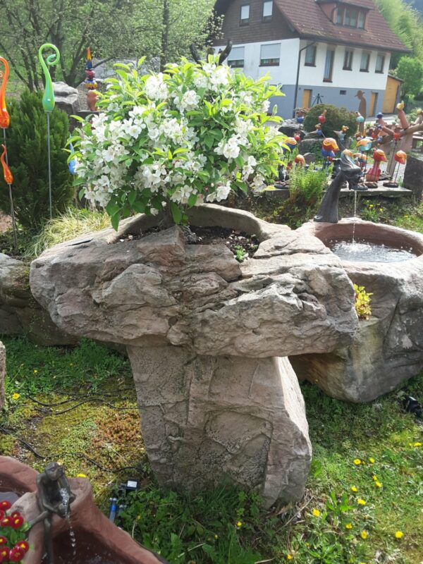 0004 – Bild 4
