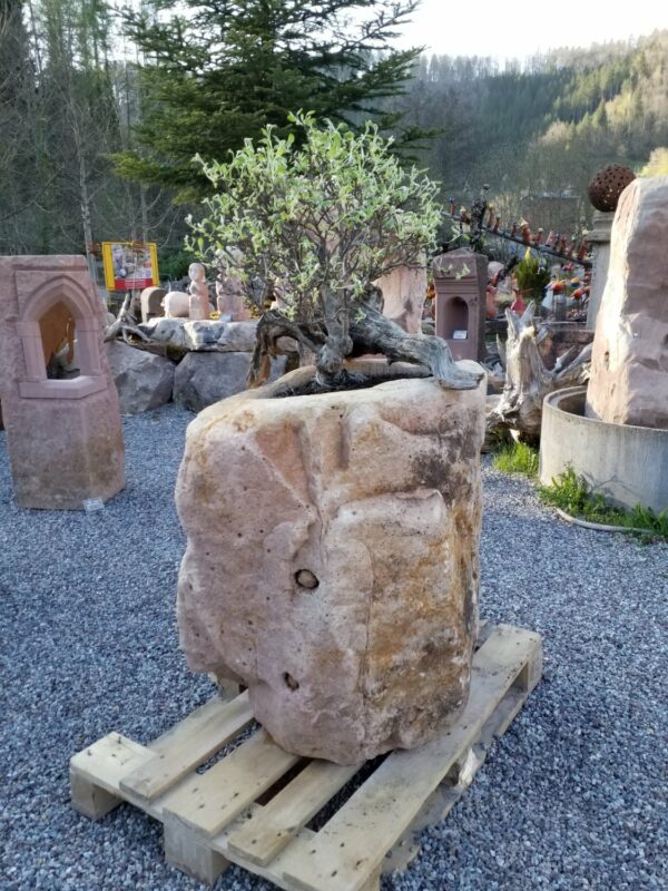 0616 – Bild 2