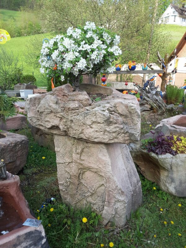 0004 – Bild 2