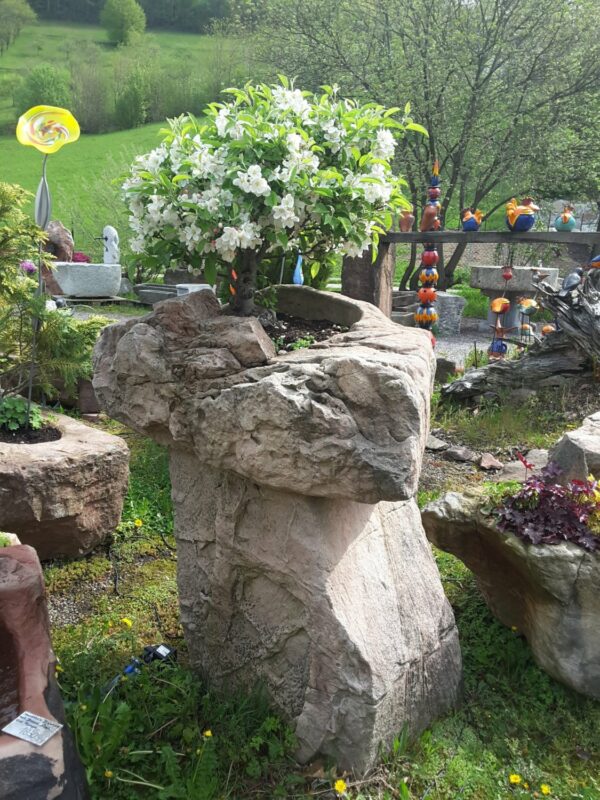 0004 – Bild 3
