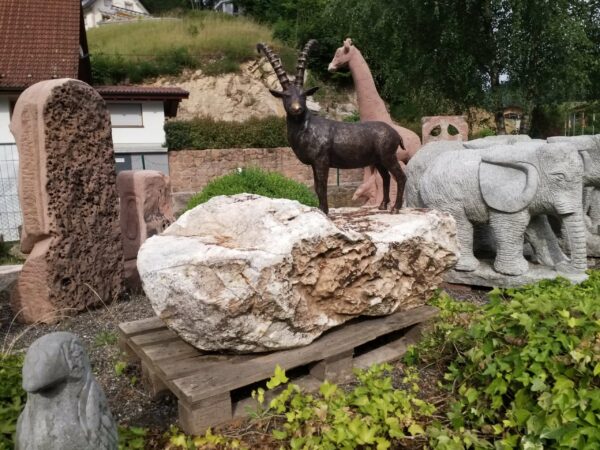 0741 – Bild 2